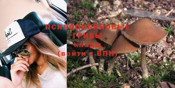 Альфа ПВП Вяземский