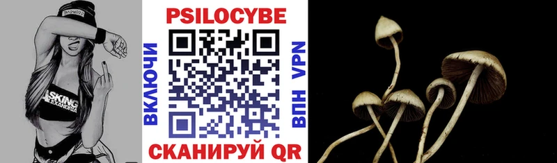 Галлюциногенные грибы мицелий Купить закладки Лагань